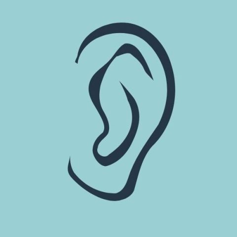 Psychotherapie Mester